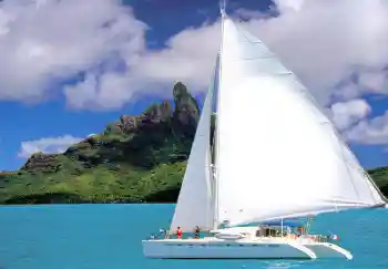 Efecto de fotos de la categoría Verano № 1553