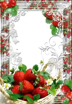 Efecto de fotos de la categoría Verano № 1557