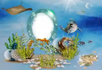 Efecto de fotos de la categoría Verano № 155863