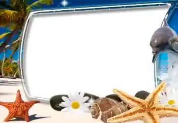 Efecto de fotos de la categoría Verano № 155922