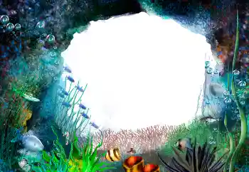 Efecto de fotos de la categoría Verano № 155944