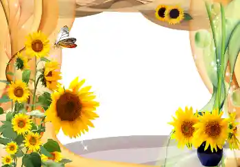 Efecto de fotos de la categoría Verano № 1566