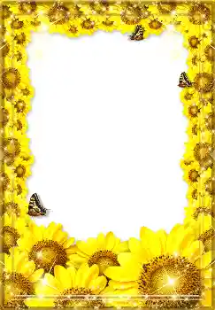 Efecto de fotos de la categoría Verano № 1571