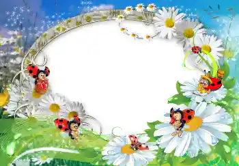 Efecto de fotos de la categoría Verano № 1572