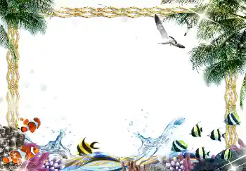 Efecto de fotos de la categoría Verano № 1583