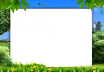 Efecto de fotos de la categoría Verano № 158421