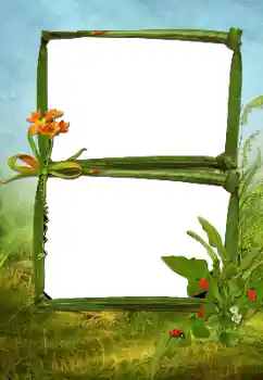 Efecto de fotos de la categoría Verano № 160630