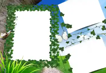 Efecto de fotos de la categoría Verano № 160662