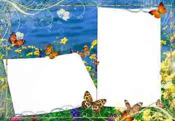 Efecto de fotos de la categoría Verano № 163330