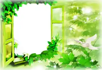 Efecto de fotos de la categoría Verano № 164788