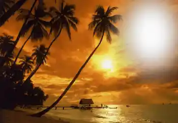 Efecto de fotos de la categoría Verano № 164793