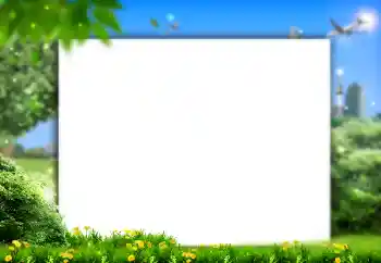 Efecto de fotos de la categoría Verano № 166359