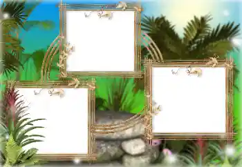 Efecto de fotos de la categoría Verano № 166613