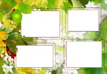 Efecto de fotos de la categoría Verano № 167757