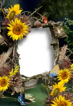 Efecto de fotos de la categoría Verano № 167902