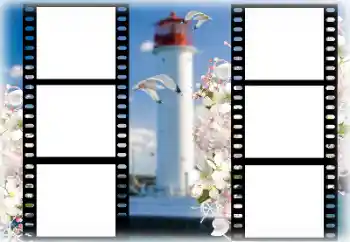 Efecto de fotos de la categoría Verano № 167969