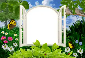 Efecto de fotos de la categoría Verano № 16945