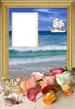 Efecto de fotos de la categoría Verano № 173023