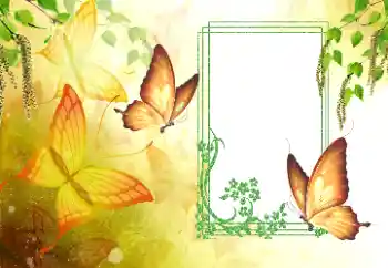 Efecto de fotos de la categoría Verano № 179561