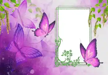 Efecto de fotos de la categoría Verano № 179562