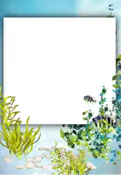 Efecto de fotos de la categoría Verano № 182182