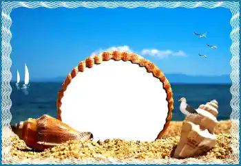 Efecto de fotos de la categoría Verano № 191785