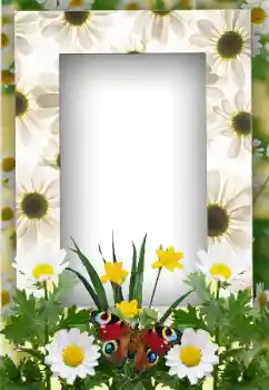 Efecto de fotos de la categoría Verano № 19247