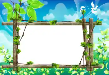 Efecto de fotos de la categoría Verano № 198824