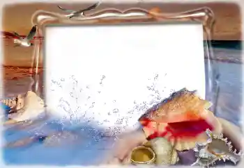 Efecto de fotos de la categoría Verano № 198832