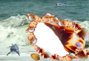 Efecto de fotos de la categoría Verano № 20185