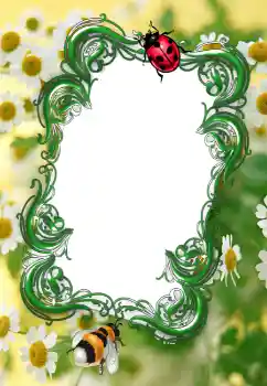 Efecto de fotos de la categoría Verano № 2253