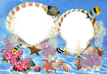 Efecto de fotos de la categoría Verano № 23210