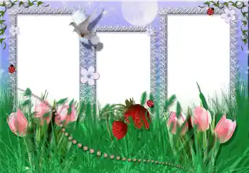 Efecto de fotos de la categoría Verano № 2396