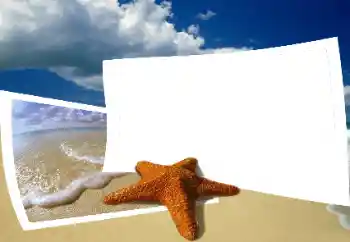 Efecto de fotos de la categoría Verano № 25435