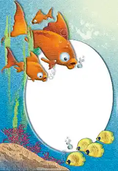 Efecto de fotos de la categoría Verano № 26492