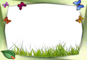 Efecto de fotos de la categoría Verano № 2756