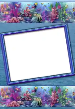 Efecto de fotos de la categoría Verano № 31794