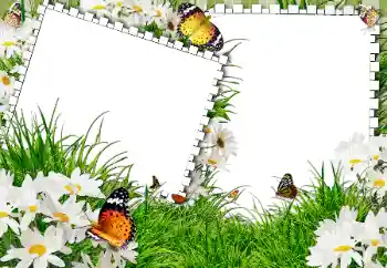 Efecto de fotos de la categoría Verano № 31861