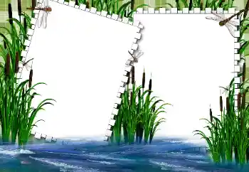 Efecto de fotos de la categoría Verano № 31862