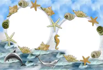 Efecto de fotos de la categoría Verano № 33969