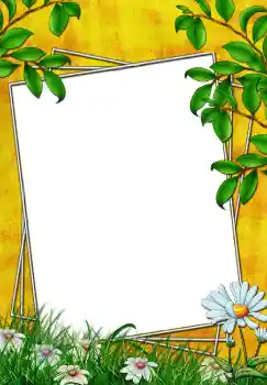 Efecto de fotos de la categoría Verano № 3772