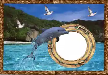 Efecto de fotos de la categoría Verano № 38477