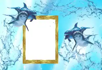 Efecto de fotos de la categoría Verano № 38603