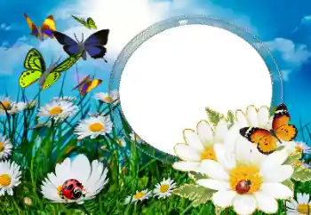 Efecto de fotos de la categoría Verano № 40377