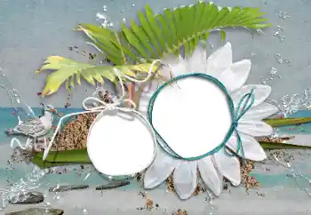 Efecto de fotos de la categoría Verano № 47208