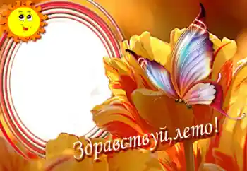 Inscripción en el marco: Hello summer!