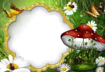 Efecto de fotos de la categoría Verano № 5072