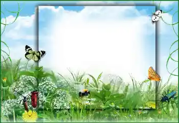 Efecto de fotos de la categoría Verano № 50891