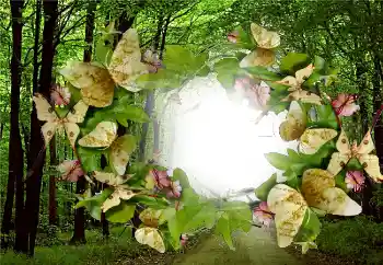 Efecto de fotos de la categoría Verano № 5287