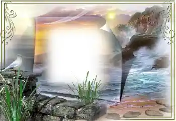 Efecto de fotos de la categoría Verano № 53307